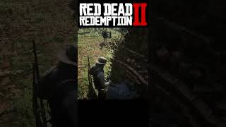 2024  Tesoros Secretos en RED DEAD REDEMPTION 2 parte 10 [upl. by Ahsim]