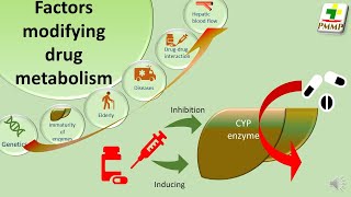 Factors modifying drug metabolism General Pharmacology S28 [upl. by Ieluuk]