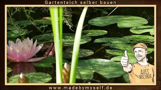 Teich selber bauen Gartenteich selber anlegen Fischteich mit Teichfolie verlegen [upl. by Allen]