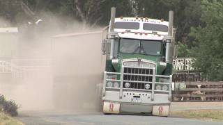 Australian Trucks Road Trains and B Doubles at Deniliquin [upl. by Sirac]