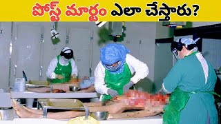 How to Post Mortem Full Explanation in Telugu [upl. by Nadaha392]