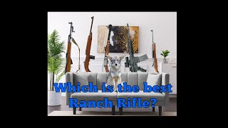 The Best Ranch Rifle [upl. by Almeeta314]