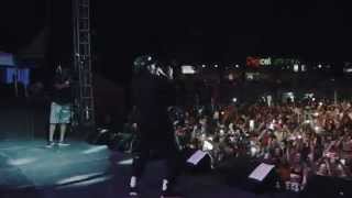 Machel Montano live in Jamaica  2015 Show Recap [upl. by Kreiker]