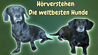 Hörverstehen Die weltbesten Hunde  Snoopy und Minou  B2C1 [upl. by Ennovy]