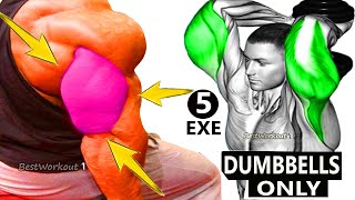 5 Best Triceps workout with Dumbbells  5 Effective Exercises [upl. by Eannaj530]