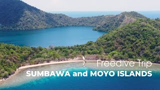 Freedive Trip to Sumbawa [upl. by Thoma]