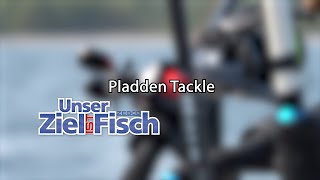 Tackle für Scholle Flunder amp Co Flatty Scratcher  Unser Ziel ist Fisch [upl. by Stirling502]