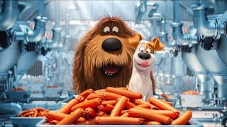 The Secret Life of Pets Full Movie Facts amp Verdict  Louis CK  Eric Stonestreet [upl. by Ahsielat353]