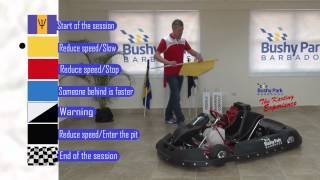 The Bushy Park Karting Experience [upl. by Sivaj]