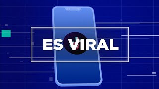 Es Viral Emisión Matutina  4 de noviembre de 2024 [upl. by Namyac256]