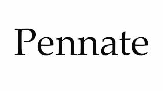 How to Pronounce Pennate [upl. by Groot]