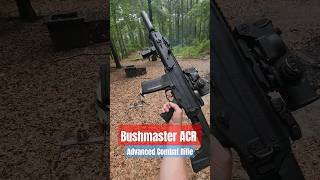 Bushmaster ACR  556mm Advanced Combat Rifle [upl. by Whitehurst]