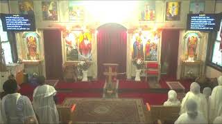 Medhanie Alem Ethiopian Orthodox Tewahedo Church KC Live Stream [upl. by Dranrev591]