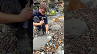 HUNTING For FOSSILS On The Beach 🦑😵‍💫🤯🦞🦖😱😵🐊🔨 [upl. by Milburn]