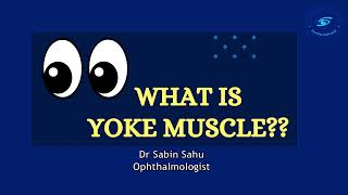 Tips to know Yoke muscle [upl. by Rramaj]