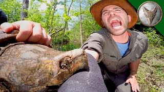 CRAZY Alligator Snapping Turtle Bite [upl. by Ashwell]