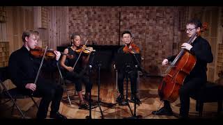 Schubert Quartettsatz No 12 in C minor D 703 Abeo Quartet [upl. by Navets]