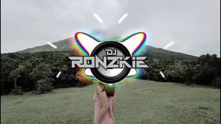 Nelly x Sherine  Just a Dream  Dj Ronzkie Remix  Tiktok Viral Funky Nights 2024 [upl. by Woody]