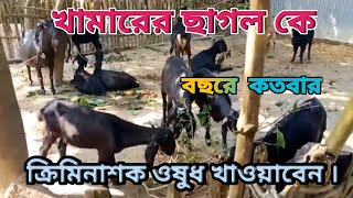 খামারের ছাগলকে বছরে কতবার ক্রিমিনাশক ঔষধ খাওয়ানো প্রয়োজন। [upl. by Anovad910]