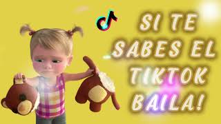 SI TE SABES EL TIKTOK BAILA  2024❤ [upl. by Maltz]