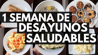 UNA SEMANA DE DESAYUNOS SALUDABLES  Michela Perleche [upl. by Airol]