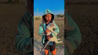 Cat Lover 🥰😍 shorts viralvideo cat catlover love ghost [upl. by Trula]