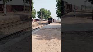 Station staff piloted Goods Train youtube viralshorts [upl. by Leirza]