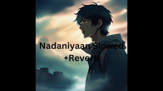 Nadaniyaan Slowed  Reverb  Blissful amp Emotional Vibes 🎧✨ [upl. by Fante]