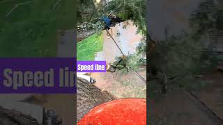 Fir Speed Line treework washington trees pnw arborist husqvarna chainsaw rope rigging [upl. by Jung241]