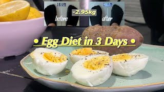 5746kg vlog  EGG DIET again for 3 DAYS [upl. by Peta]