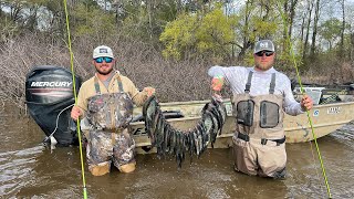 WADE Fishing For SPAWNING CRAPPIE Catch And Cook [upl. by Crooks]