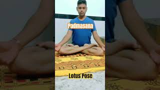 Padmasana Yoga l Lotus Pose l How to do Lotus Pose l Yoga for Calms the Brain l Daily Yoga l [upl. by Zeret]