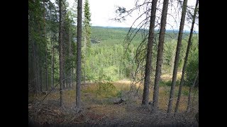 Norwegen Kleine Tageswanderung im ausgetrockneten Wald [upl. by Nastassia329]