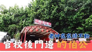 官校後門請不走的土地公，鳳凰山邊的守護神｜想思林雞母山福德祠 [upl. by Hairehcaz329]