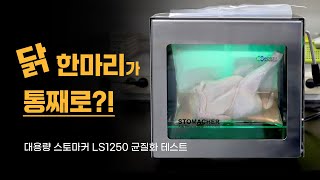 대용량 시료 균질화 테스트스토마커 LS1250 [upl. by Ruddy]