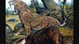 Top 10 Most Dangerous Prehistoric Animals NO DINOSAURS YouTube [upl. by Einnos]