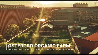 ØsterGRO Organic Rooftop Farm in Østerbro Copenhagen Denmark [upl. by Nodababus]