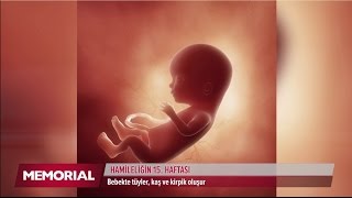 15 haftalık gebelik döneminde neler oluyor [upl. by Onimod]