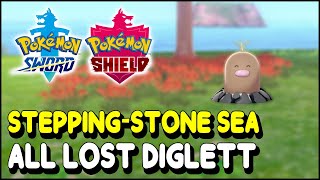 Pokemon Sword amp Shield All Diglett Locations in SteppingStone Sea The Isle of Armor DLC [upl. by Nissie]