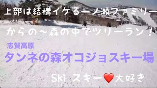 志賀高原一ノ瀬ファミリーからのオコジョへ！ski スキー♡大好き [upl. by Binky]