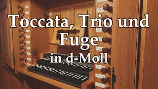 Toccata Trio und Fuge in dMoll SilbermannOrgel Villingen improvisiert  Gregor Engelhardt [upl. by Hwu]