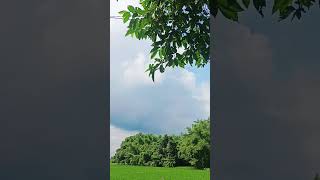 ye meri banhe♥️🥰😘youtubeshorts viralvideo asmr [upl. by Netsyrk544]