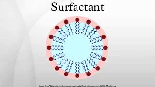 Surfactant [upl. by Morly47]