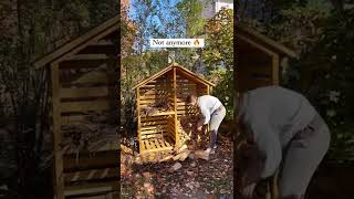 DIY Firewood Storage Shed  Sunjoy Firewood Rack Build shorts firewood diyprojects backyard diy [upl. by Nyrak]