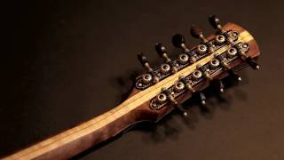 Jacobson Nautilus Concerto 10string MandolinMandola [upl. by Harutek]