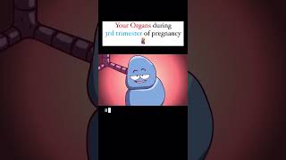 What to expect in third trimester funnyvideoinformedpregnancy pregnancywellbeing [upl. by Kuster]