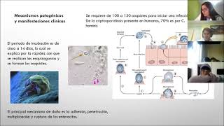 Cryptosporidium [upl. by Nagad]