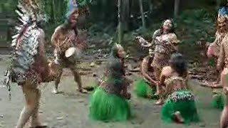 Danza Indigena en el Amazonas [upl. by Akirderf]