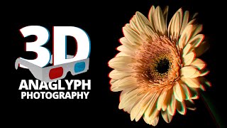 Anaglyph 3D Photography  How to create real stereoscopic 3D Macro Photos [upl. by Allak818]