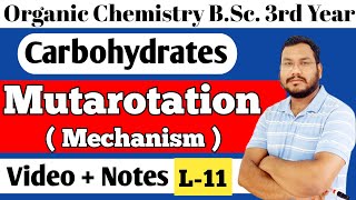 Mutarotation with Mechanism Carbohydrates BSc 3rd year organic chemistry [upl. by Adnilam]